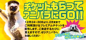 五反田アニマルパラダイス「探検隊見た！」で１５００円ＯＦＦ ほら君も裸になって、大冒険へいざッ！